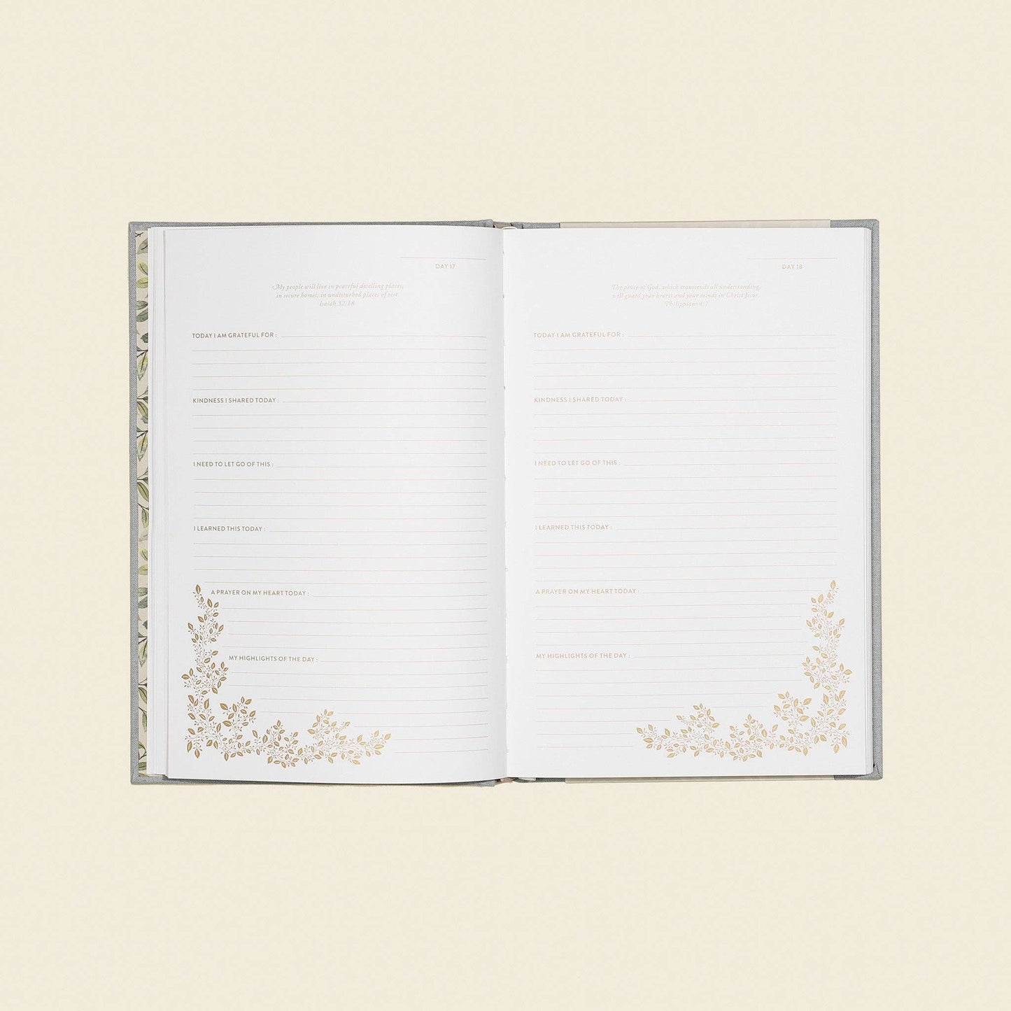 More Than Gratitude: Guided Journaling, Prayer, & Scripture