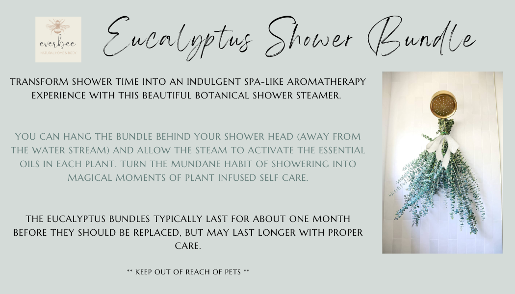 Eucalyptus Shower Steamer Bundle