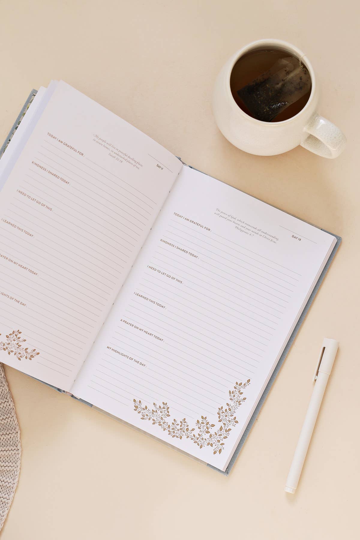 More Than Gratitude: Guided Journaling, Prayer, & Scripture