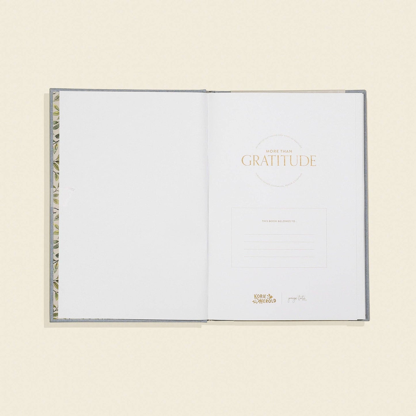 More Than Gratitude: Guided Journaling, Prayer, & Scripture